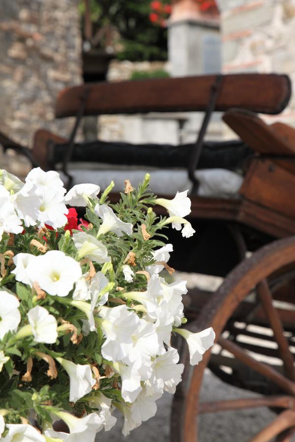 Agriturismo Il Calesse Куаррата Экстерьер фото