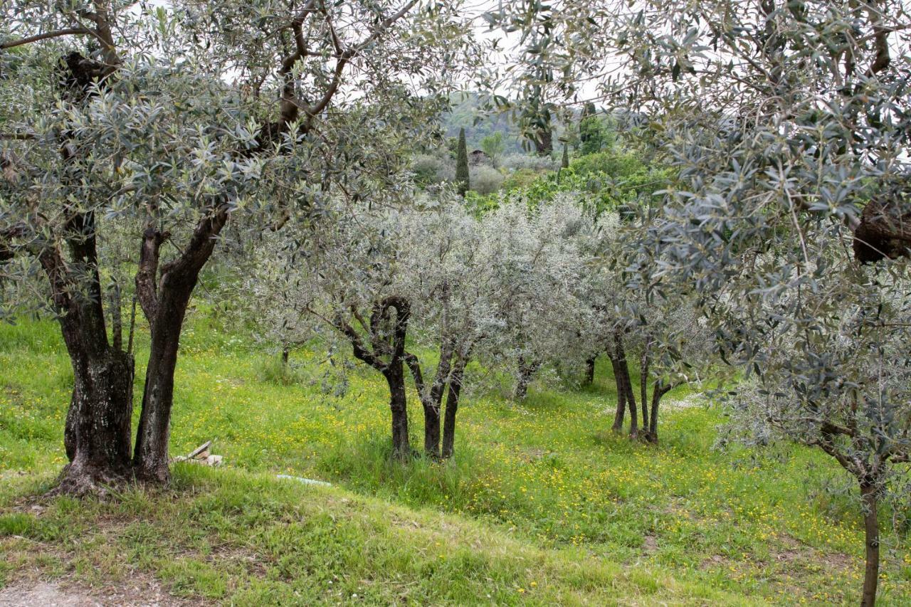 Agriturismo Il Calesse Куаррата Экстерьер фото